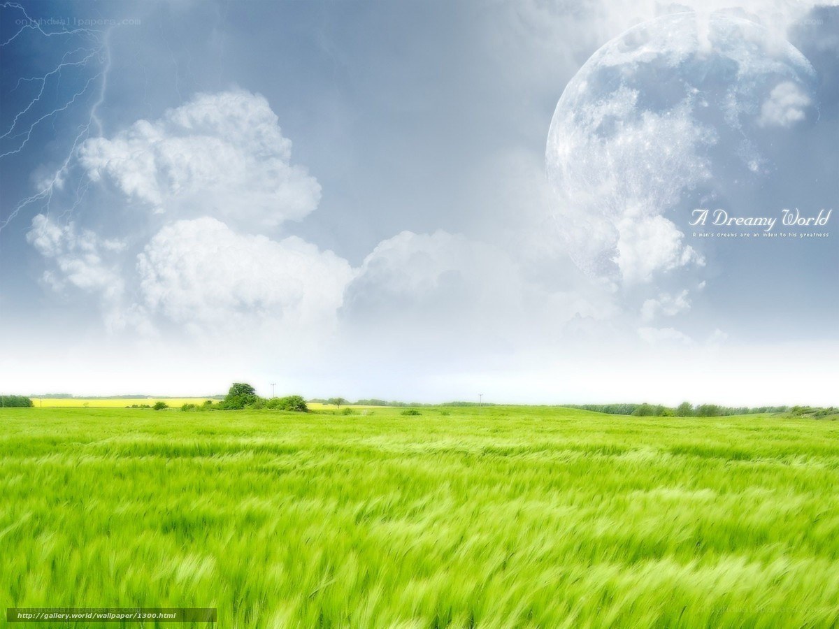 Dreamy field with giant moon