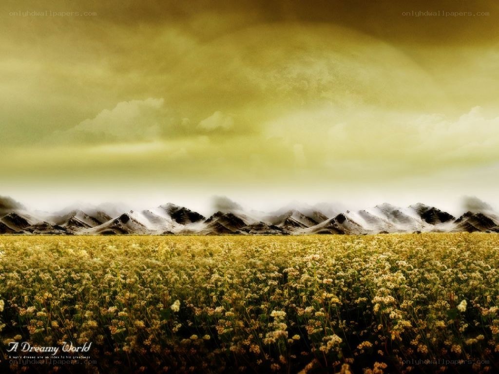 Dreamy field with mountains