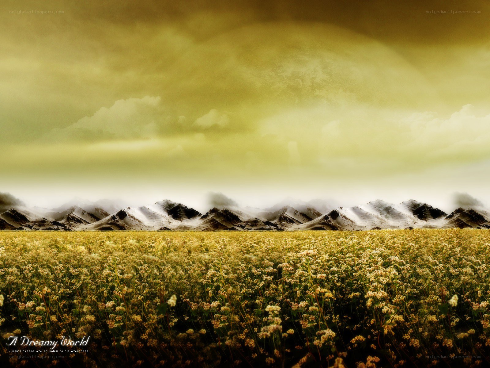 Dreamy field with mountains