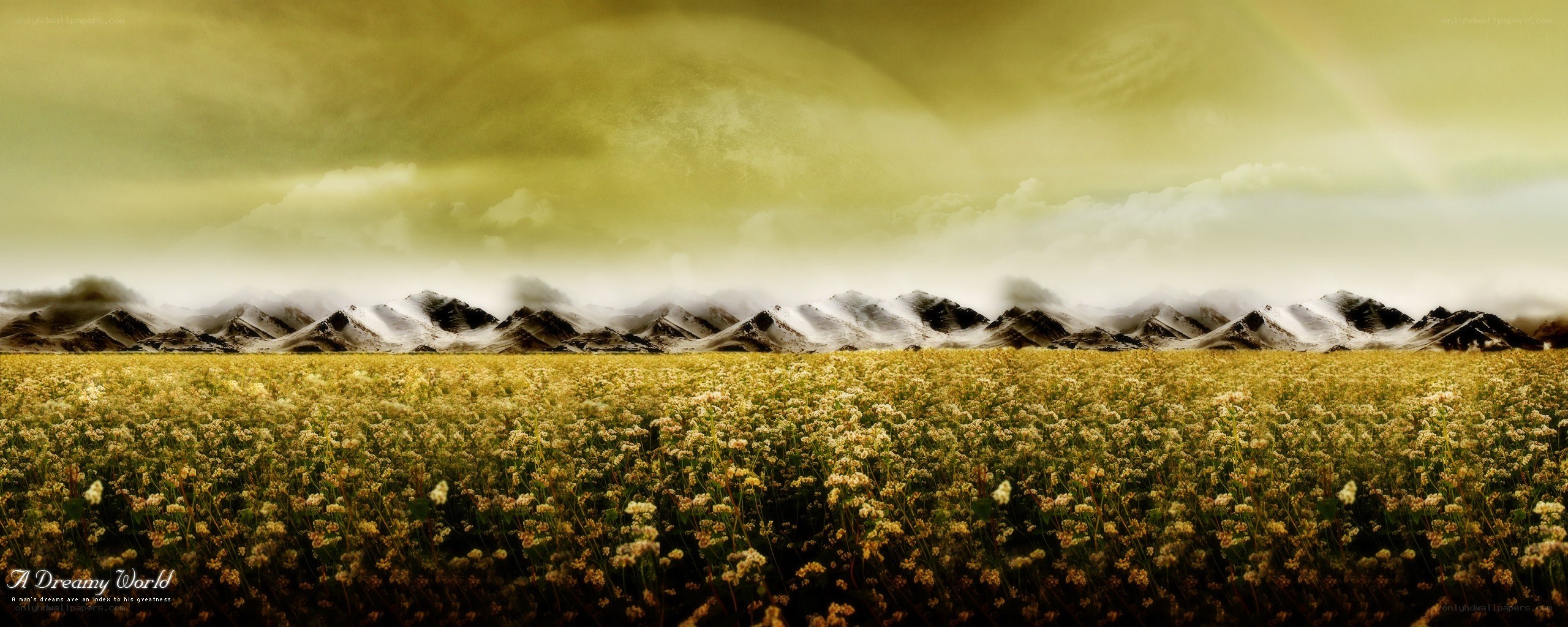 Dreamy field with mountains