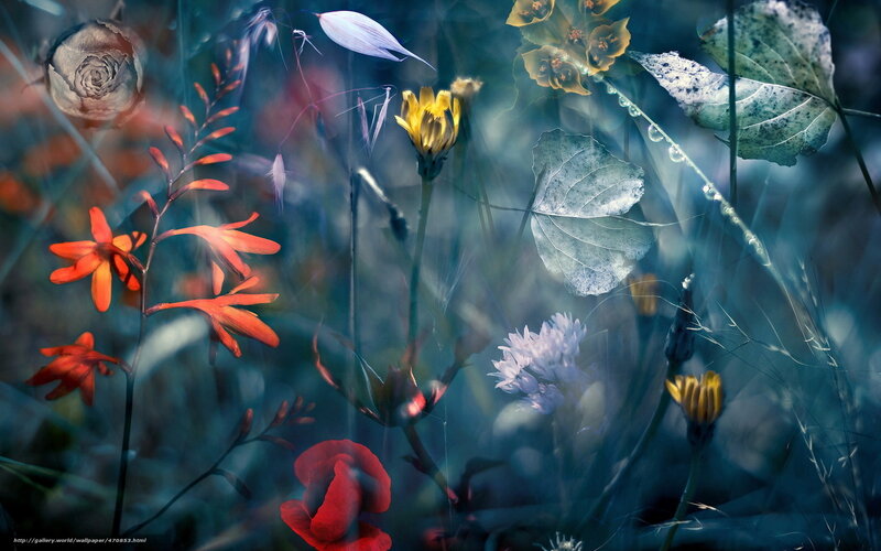 Dreamy floral collage