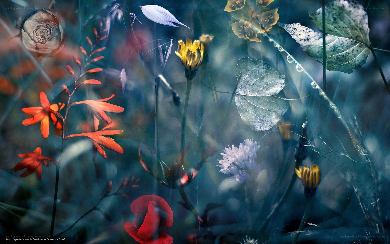 Dreamy floral collage