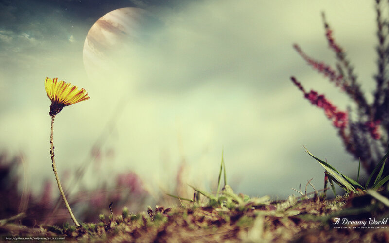 Dreamy flower under alien moon