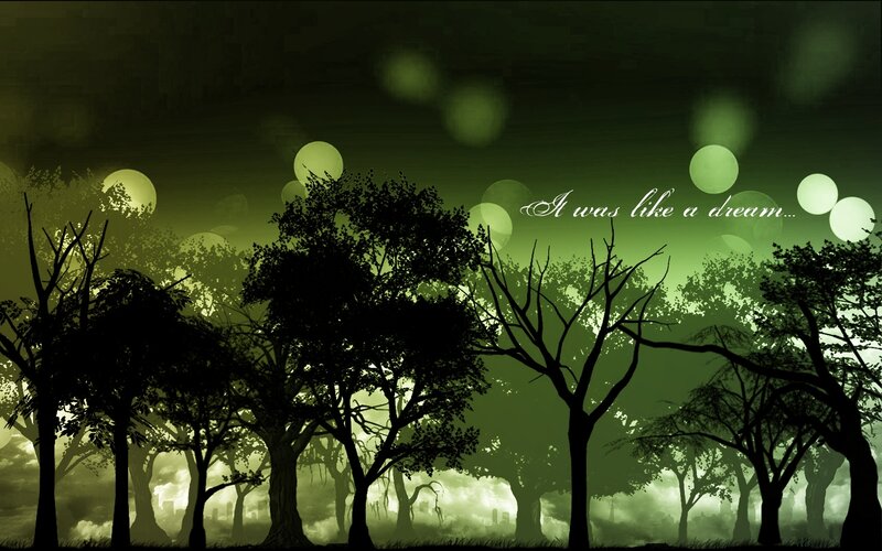 dreamy forest scene