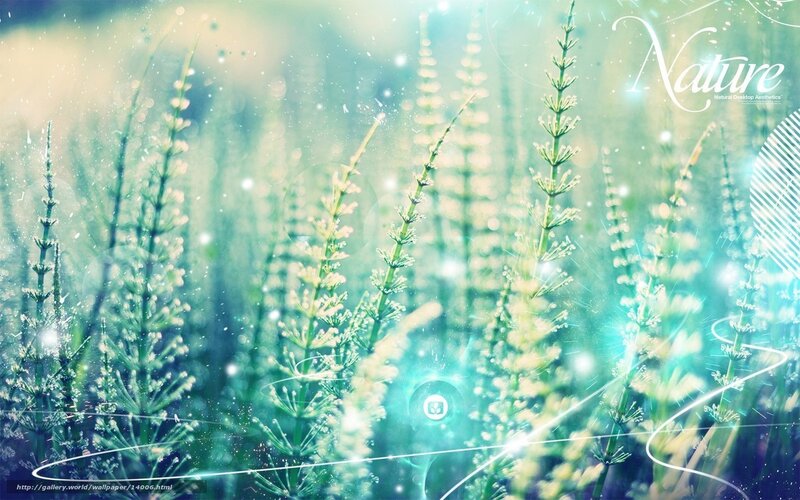 dreamy green plants