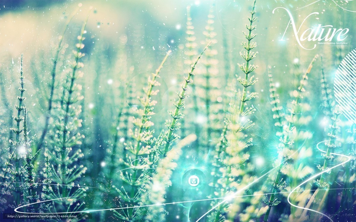 dreamy green plants
