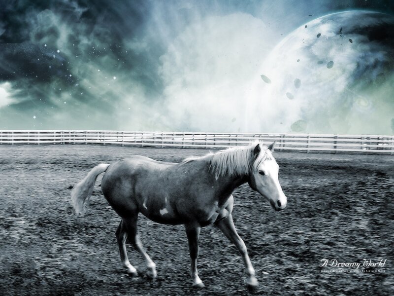 Dreamy horse in a surreal world