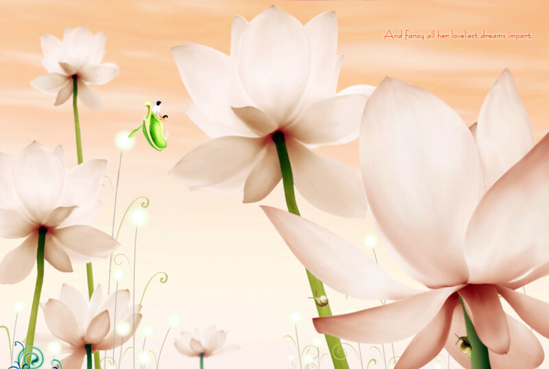 dreamy lotus flowers