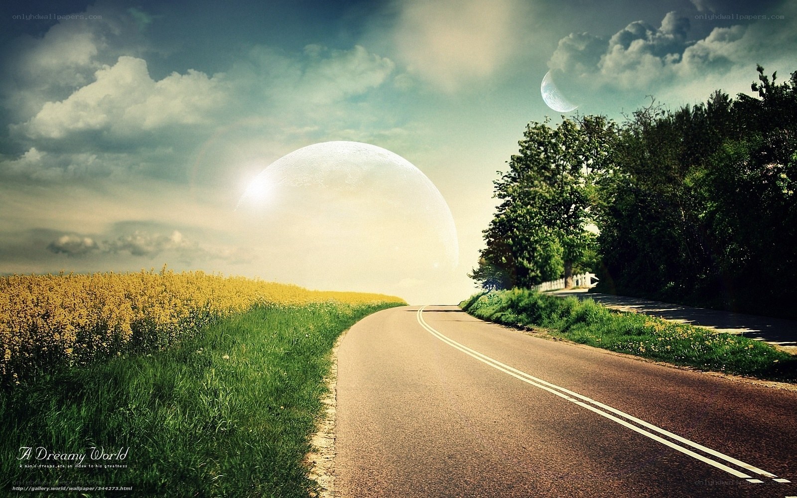 Dreamy Road to the Moon