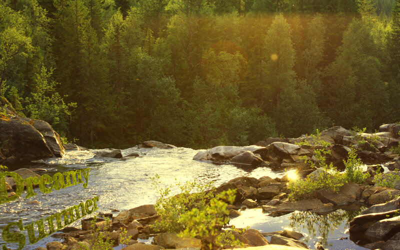 Dreamy summer river scene