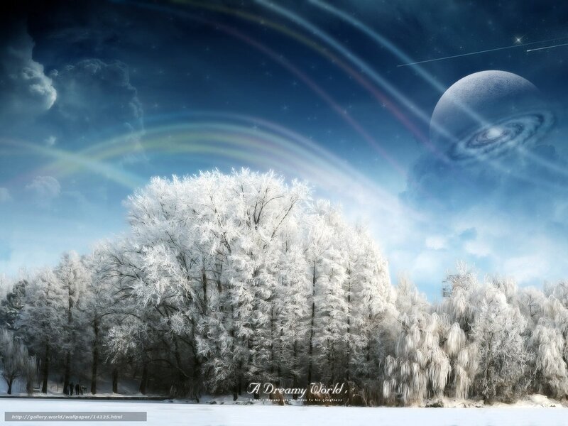 Dreamy winter landscape