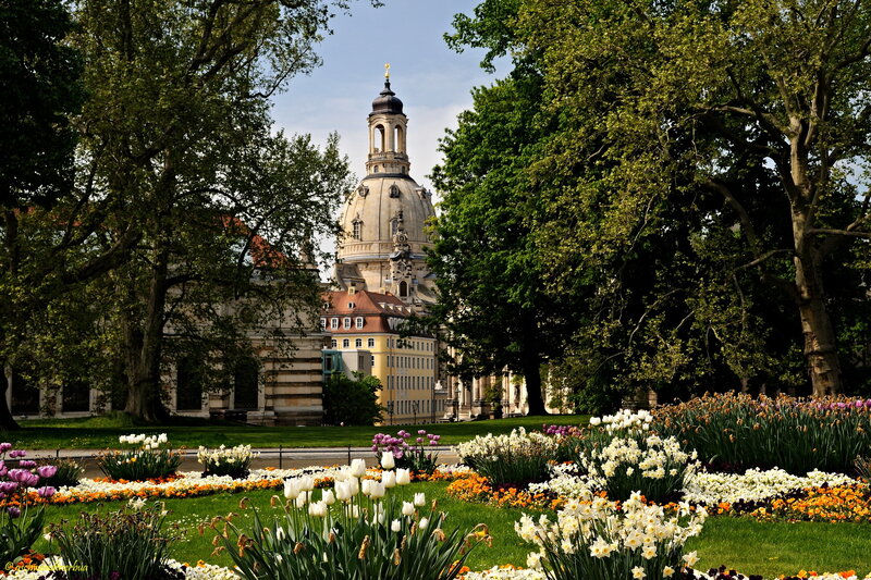 Dresden Cathedral — Green