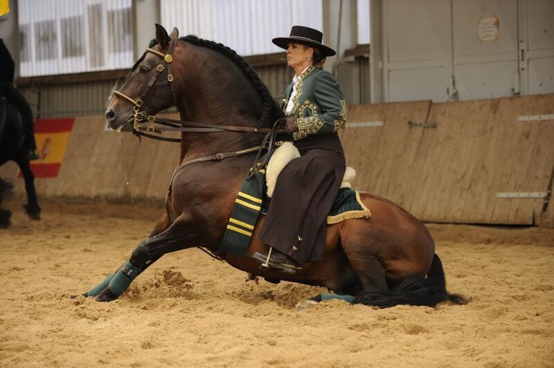 dressage horse and rider in action