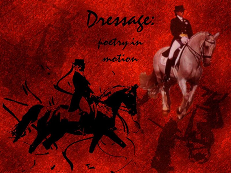 Dressage: Poetry in Motion
