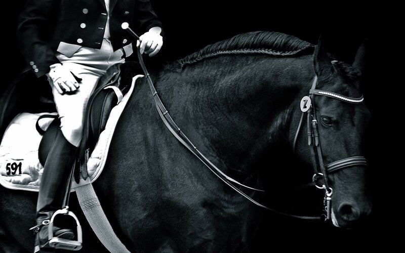 Dressage Rider on Horse — Black, Dramatic