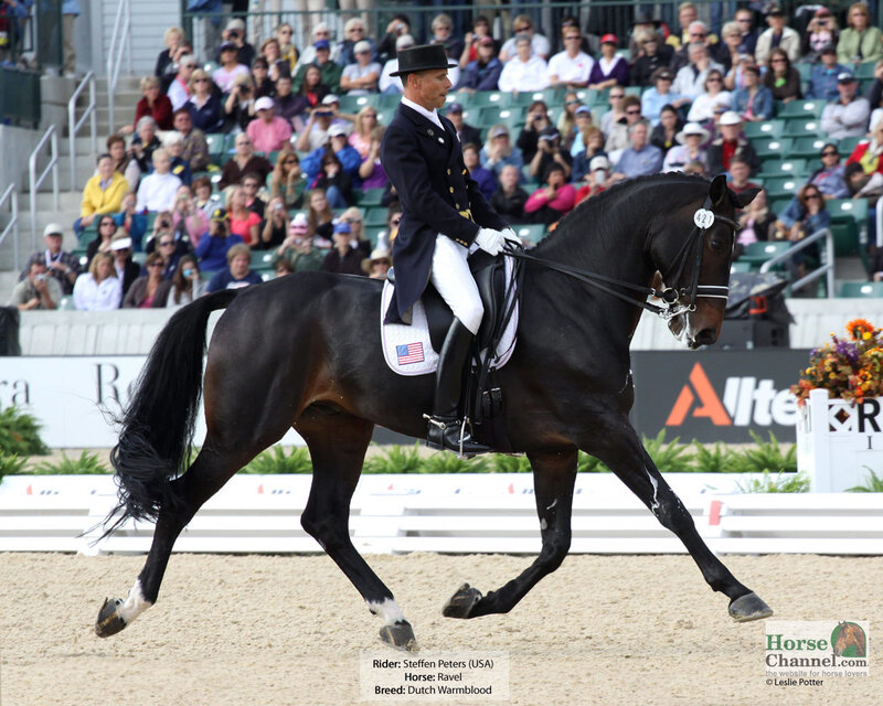 Dressage Rider on Horse — Black, Focused, Afternoon