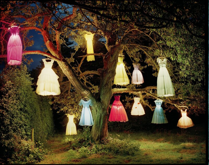 Dresses Hanging from Tree