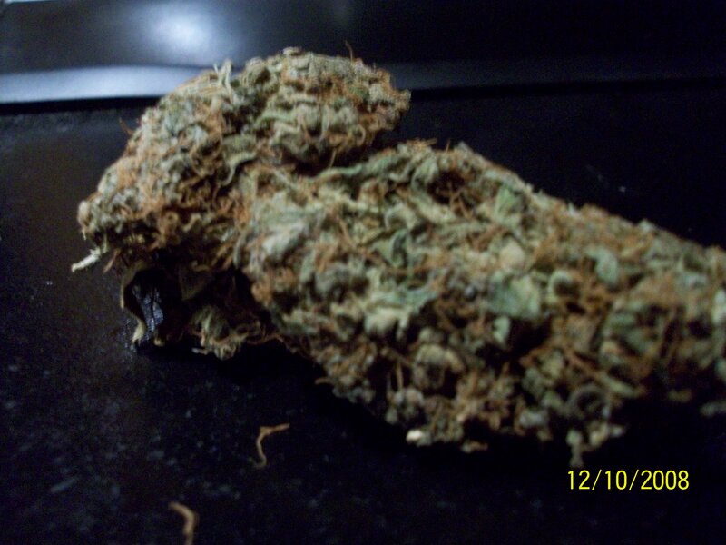 dried cannabis bud