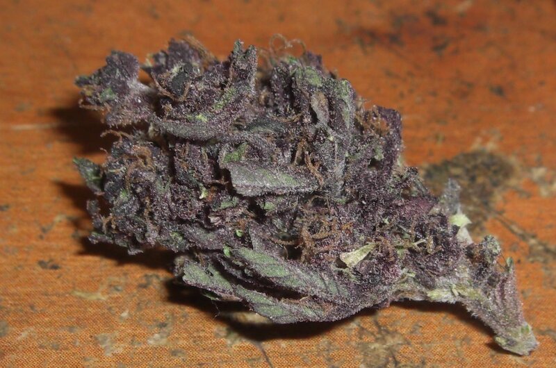 dried cannabis bud