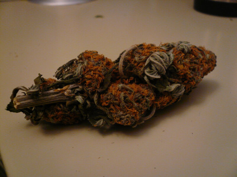 dried cannabis bud on surface