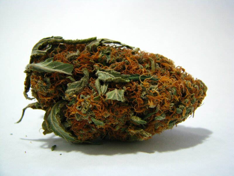 dried cannabis bud