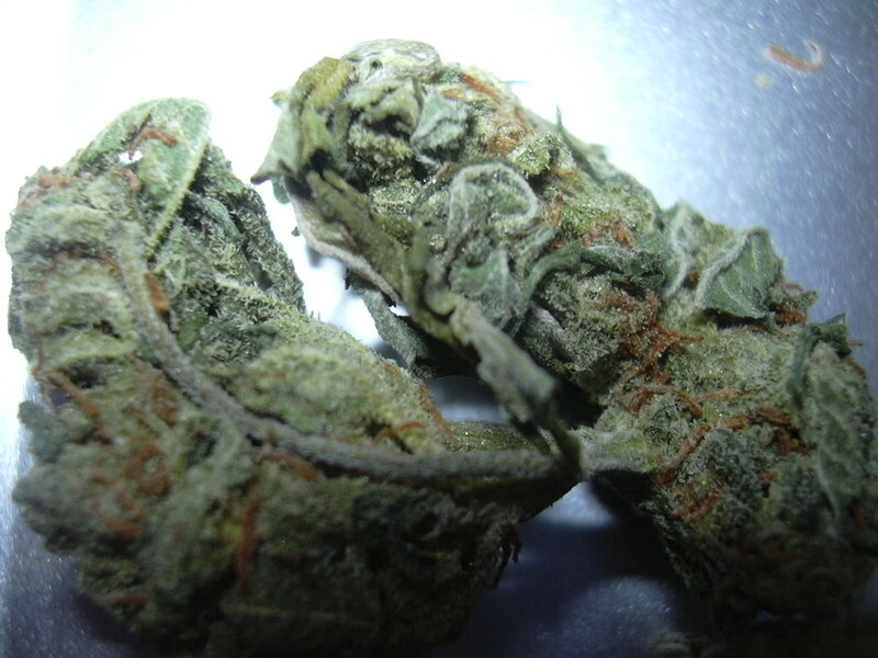 Dried Cannabis Buds — Green, Neutral, Photograph, Trichomes