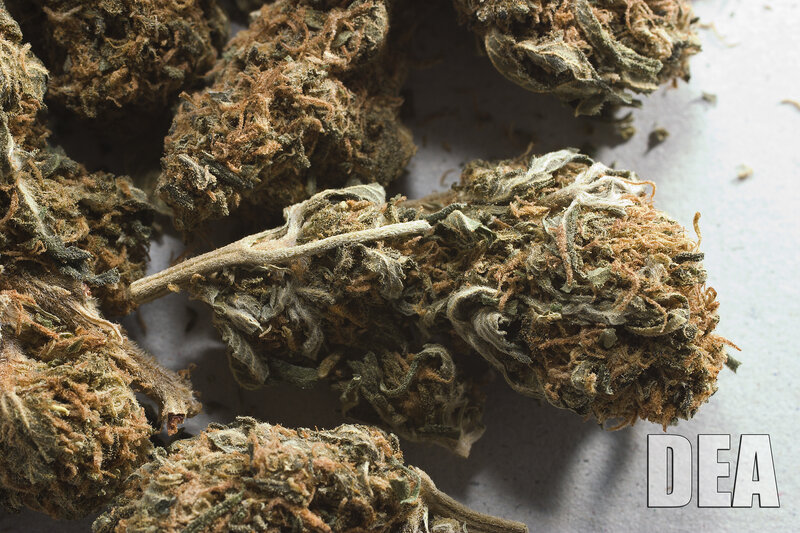 Dried Cannabis Buds — Green, Neutral