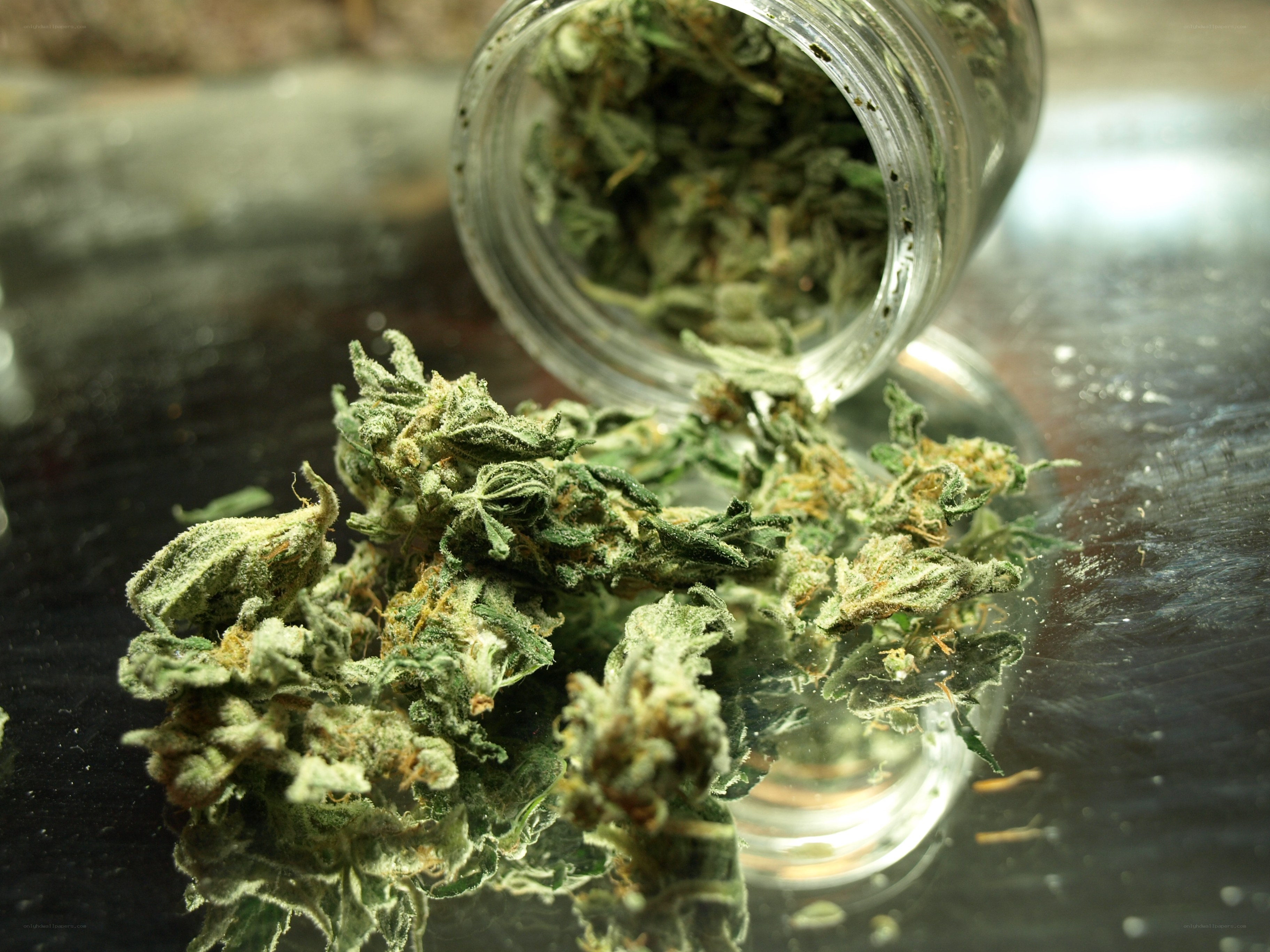 dried cannabis buds in a jar