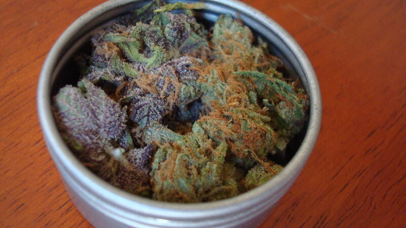 dried cannabis buds in a tin