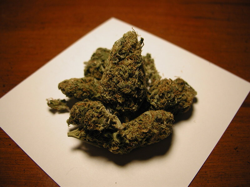 dried cannabis buds on paper