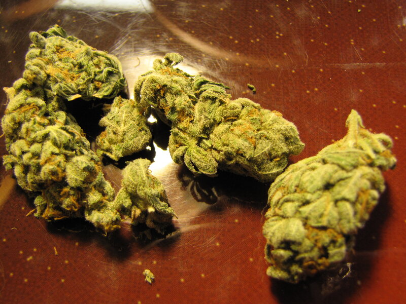dried cannabis buds on surface
