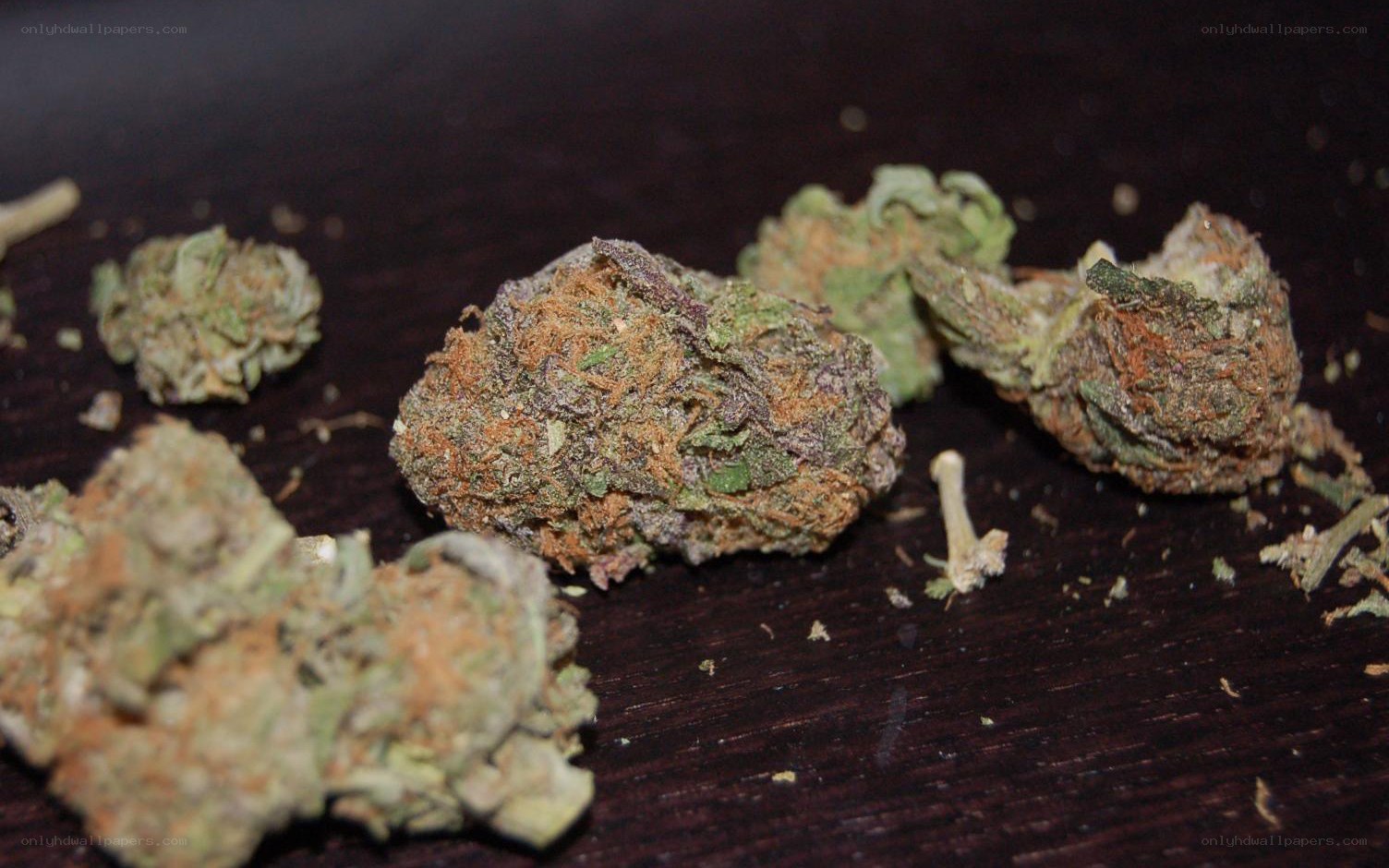 dried cannabis buds on surface