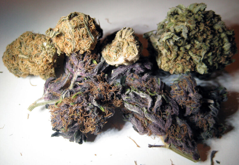 dried cannabis buds