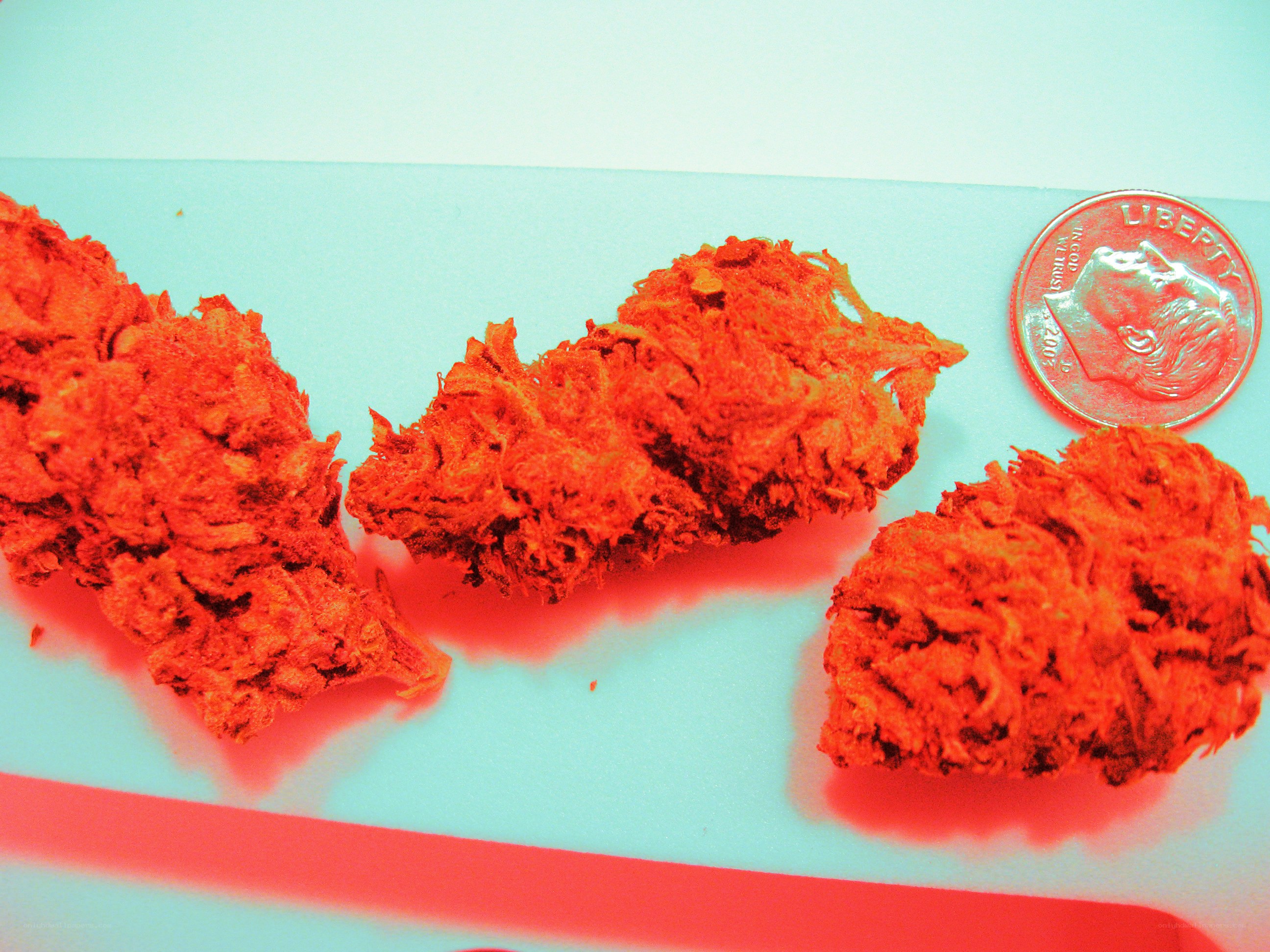 dried cannabis buds with a dime