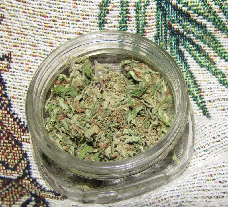 dried cannabis in a glass jar