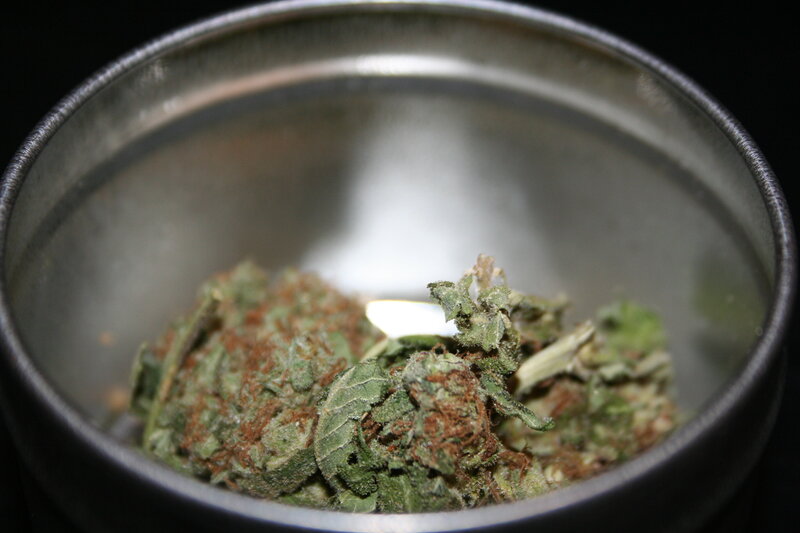 dried cannabis in a metal container