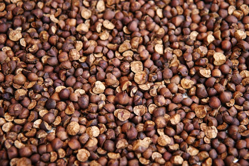 dried coffee beans