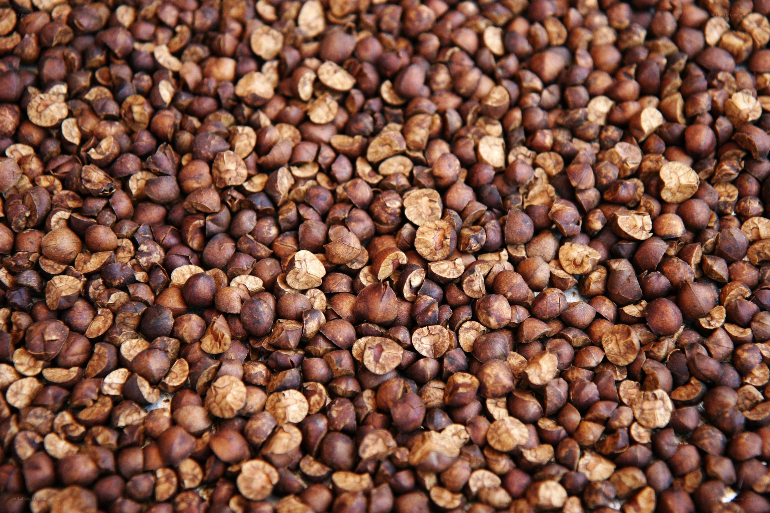 dried coffee beans
