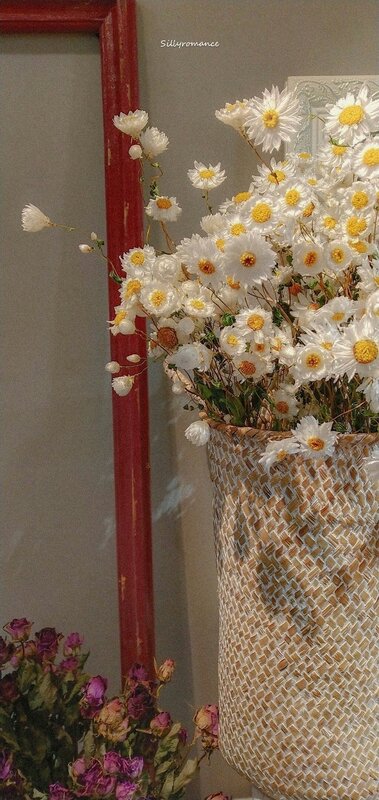 Dried Daisies in Basket