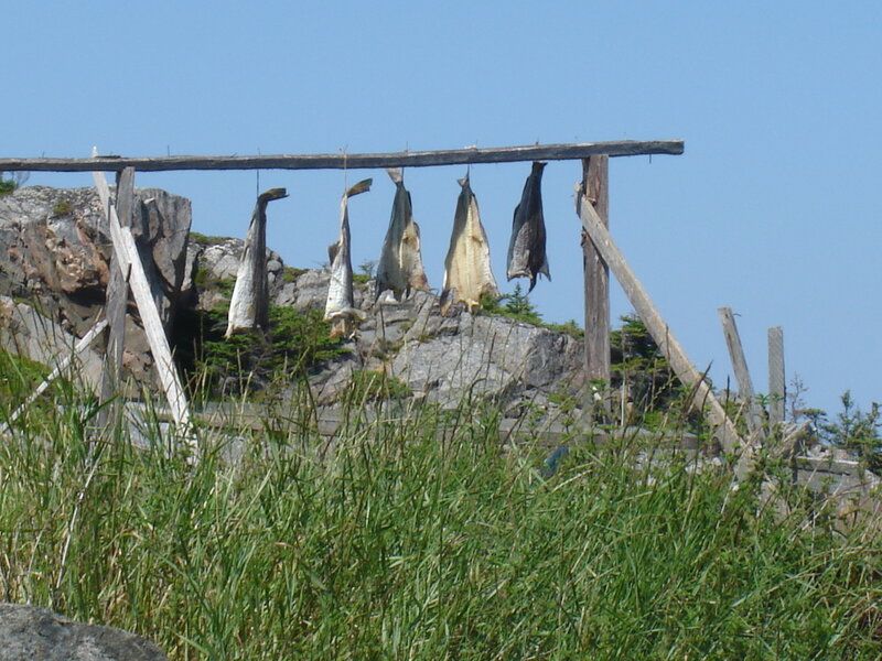 Dried Fish on Rack