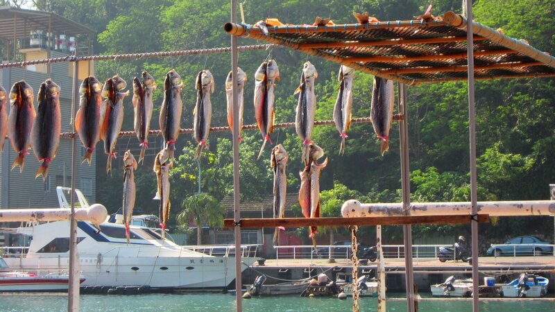 Dried Fish on Racks