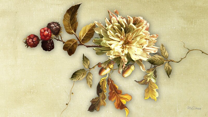 Dried Flower and Berry Arrangement