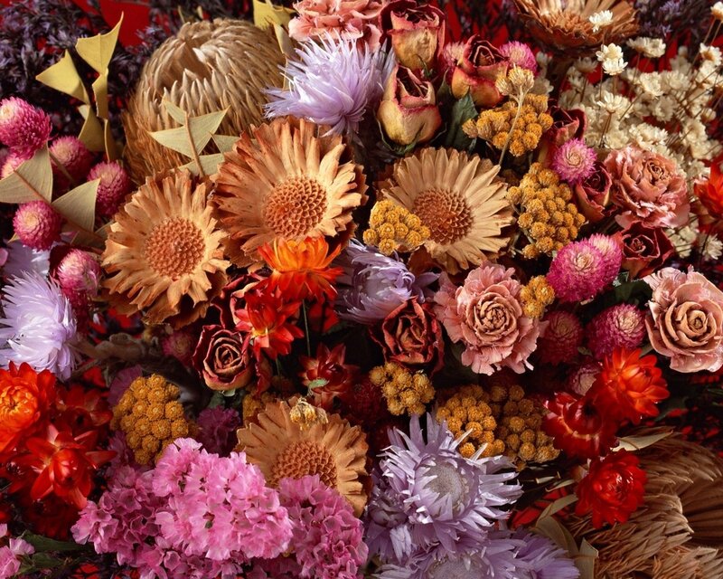Dried Flower Arrangement — Brown, Textured