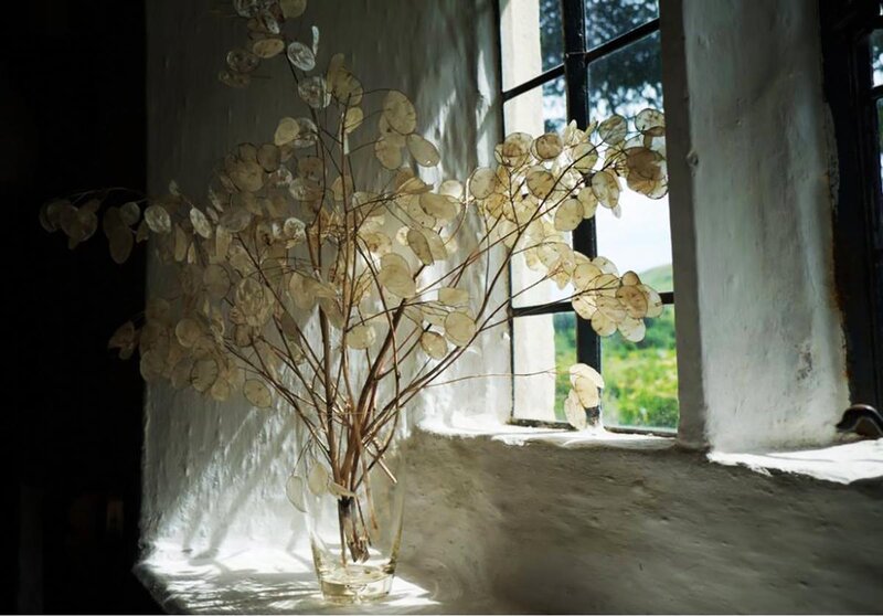 Dried Flower Arrangement — White, Serene