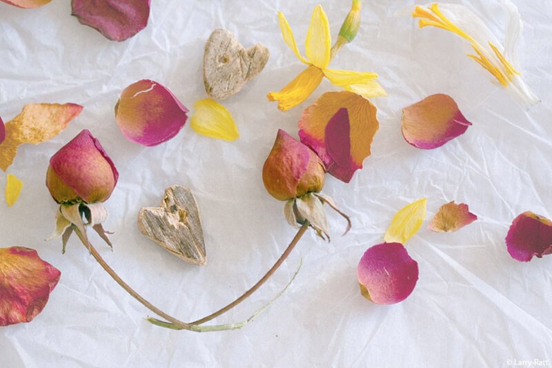 Dried Flower Arrangement — White