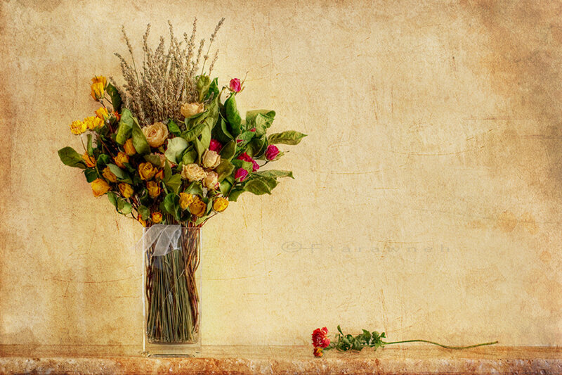 Dried Flower Bouquet — Beige