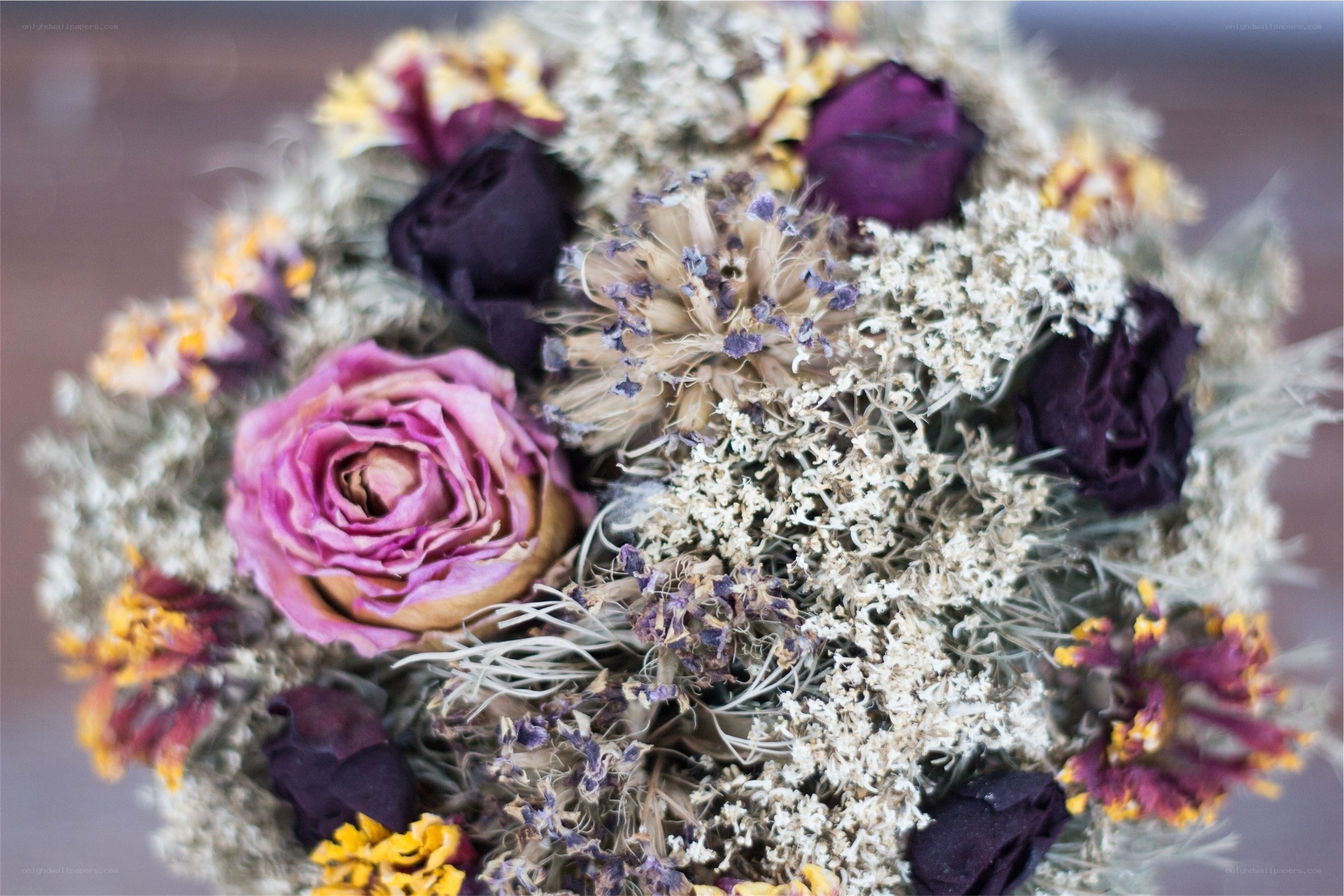 dried flower bouquet close-up