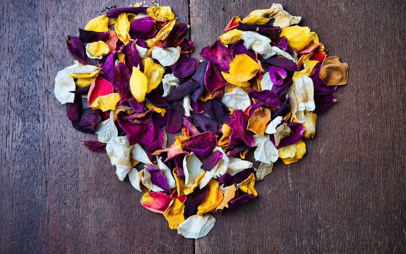 Dried Flower Petals — Purple