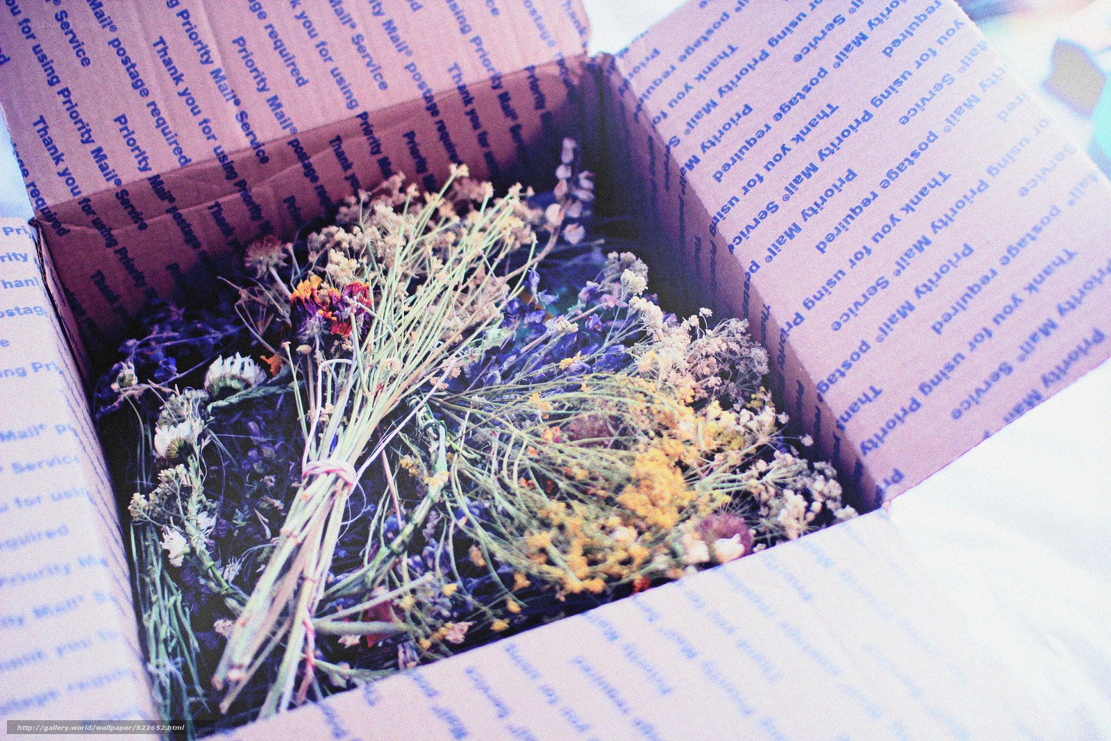dried flowers in a box