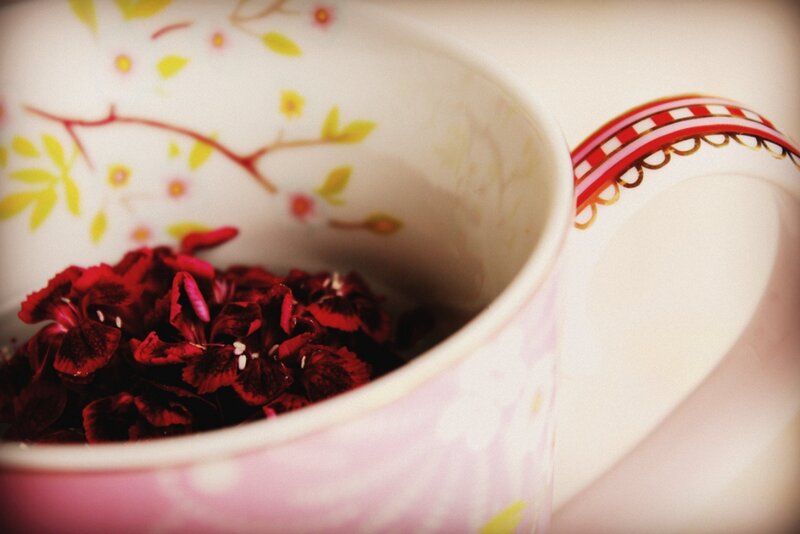 Dried Flowers in a Cup